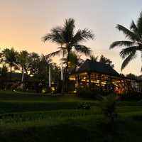 Ubud 大自然に溶け込んだ楽園ホテル🌳