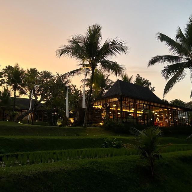 Ubud 大自然に溶け込んだ楽園ホテル🌳