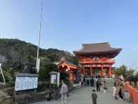 「宮崎鵜戶神宮：懸崖景色、祈福懷孕，自駕40公里45分鐘抵達」