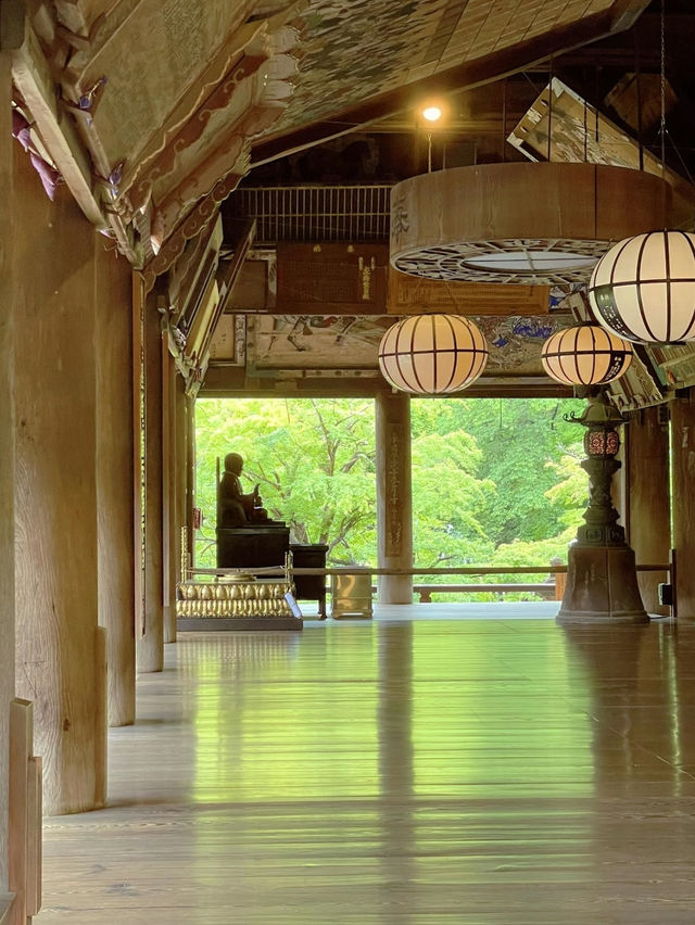 一見の価値あり❣️圧巻のあじさい階段🤗💠💐@奈良・長谷寺 一見の価値あり❣️圧巻のあじさい階段🤗💠💐@奈良・長谷寺