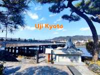 One day tri in Uji