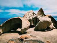 The Remarkable Rocks