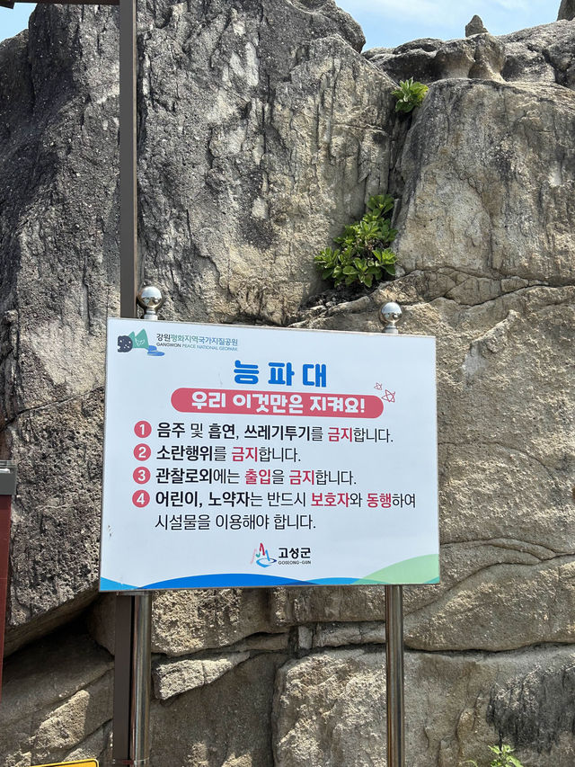 강원도 고성 BTS촬영지 산책하기🍀🌊