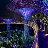 濱海灣花園
