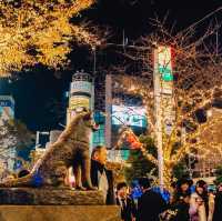 น้องหมา Hachiko ย่านชิบูย่า