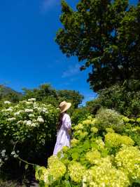 一年中お花が咲き誇る西日本最大級のお花畑🌼
