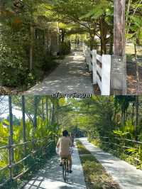 คาเฟ่ใกล้ชิดธรรมชาติที่นครปฐม 🌳
