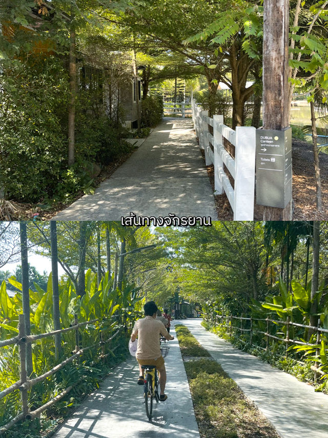 คาเฟ่ใกล้ชิดธรรมชาติที่นครปฐม 🌳