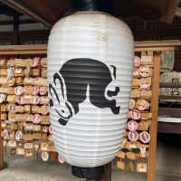 【京都】うさ活🐇「岡崎神社」