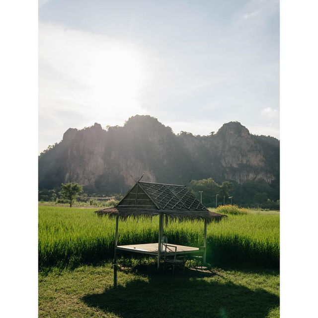เนินมะปราง