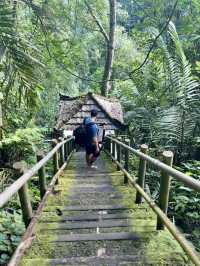 A hidden waterfall in Bali?! 
