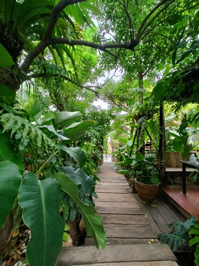 NATEE CAFÉ AT BURIRAM 