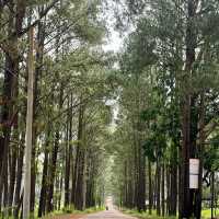 考索國家公園：原始自然生態～世外桃源