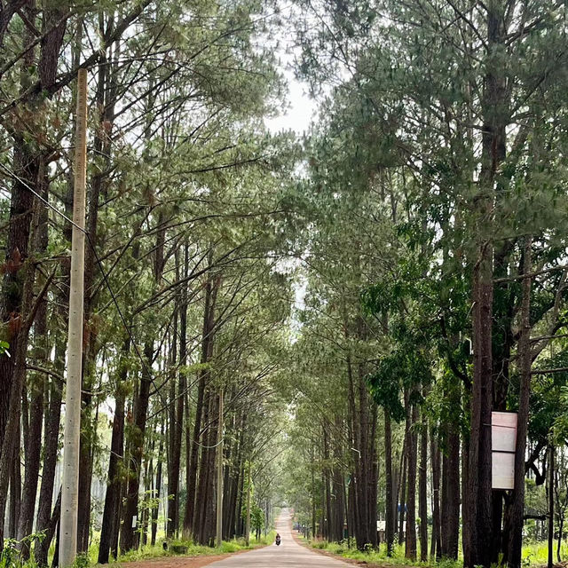 考索國家公園：原始自然生態～世外桃源