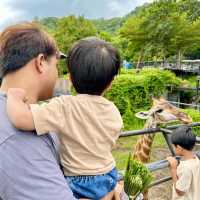 สวนสัตว์เปิดเขาเขียว 🌳 🐘🐒🦒🦓🦏🦜 🌳