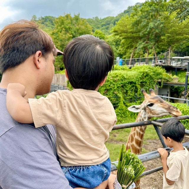 สวนสัตว์เปิดเขาเขียว 🌳 🐘🐒🦒🦓🦏🦜 🌳