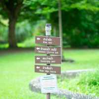วนธารา คาเฟ่ริมน้ำ พิษณุโลก