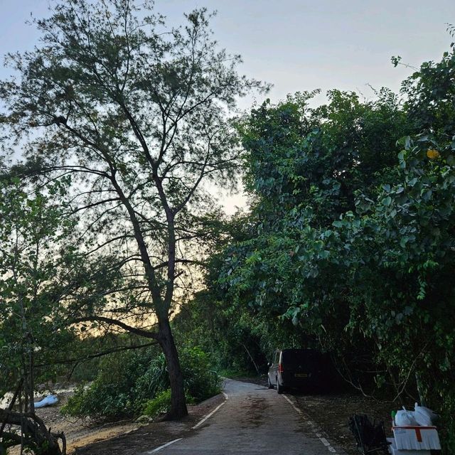 西貢大網仔路簡易步行路線推介