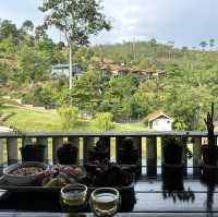 Ethos Forest: A Hidden Gem in Karak