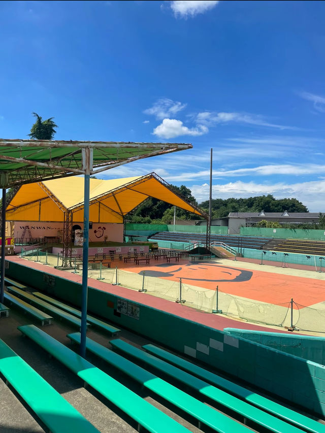 【茨城県】わんこがいっぱい🐶🐾一日中もふもふと戯れられる楽園😍💖【つくばわんわんランド】