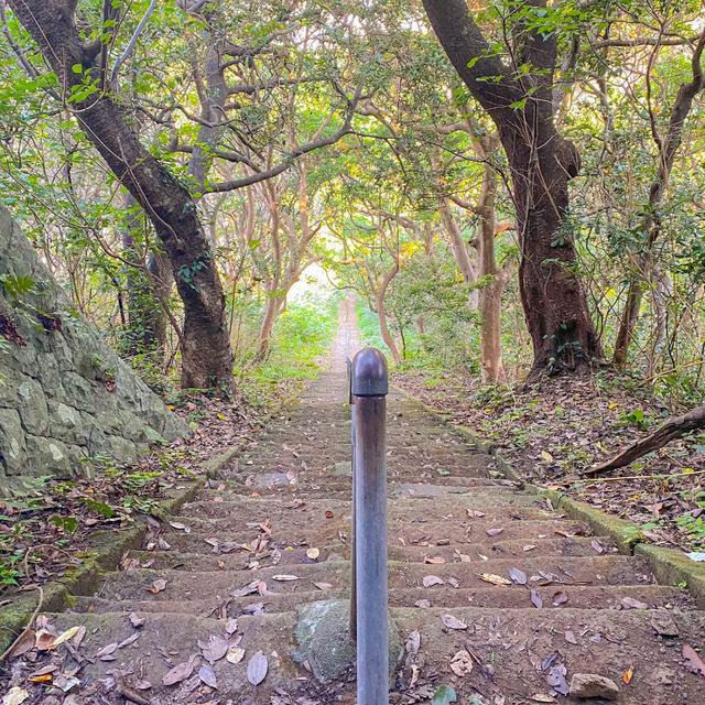 【静岡 西伊豆】秘境❣️ホントに日本なの？と思わず叫びたくなる絶景の海岸線！！