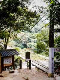 南投仁愛 上帝的畫布 武界 思源吊橋