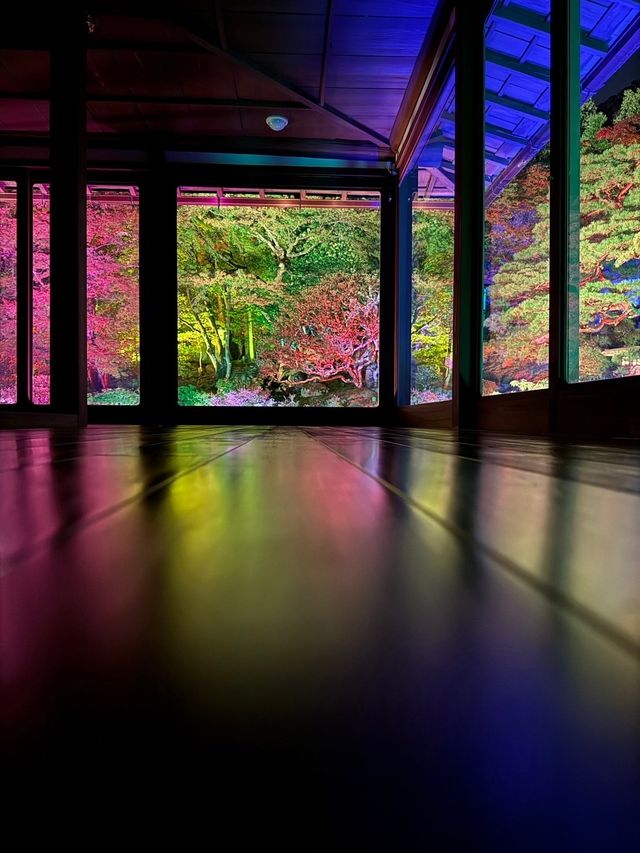 〜滋賀県〜美しすぎる旧竹林院ライトアップ✨