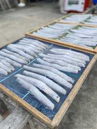 【南房総】地魚好きに行ってほしいお店