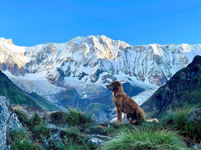 Manaslu Circuite  Trekking 
