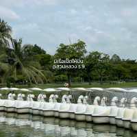 สวนหลวงร.9 ||  ศรีนครินทร์ 