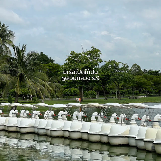 สวนหลวงร.9 ||  ศรีนครินทร์ 