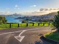 Auckland on a budget