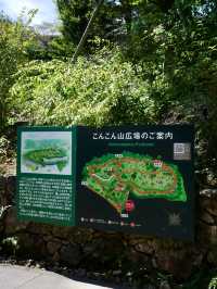 📍こんこん山広場/高知