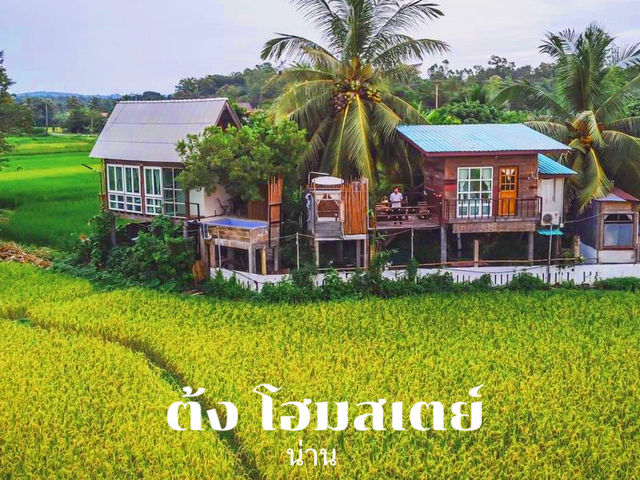 มานอนโฮมสเตย์กลางต้งนาข้าวที่ น่าน