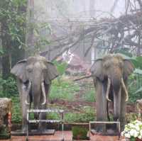พระธาตุดอยช้างมูบ