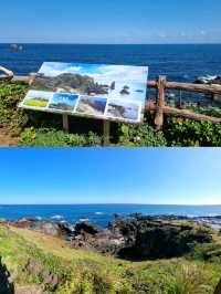 🇰🇷 Rugged Cliffs at Seopjikoji, Jeju Island 