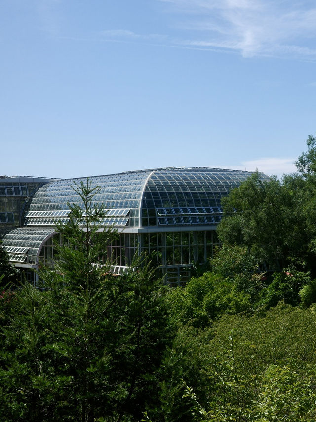 📍牧野植物園/高知