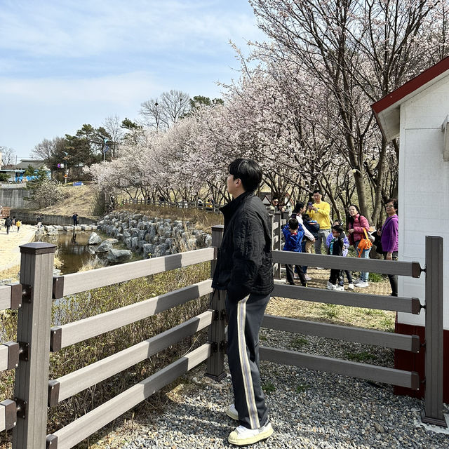 예쁜 꽃과 호수가 인상깊었던 이천 설봉공원🏞️