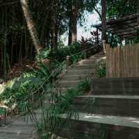 The Humble Jack - คาเฟ่ของกระต่าย Jack 