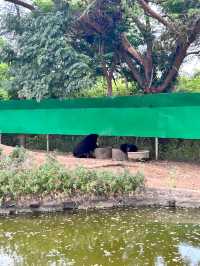 泰國北碧府野生動物園