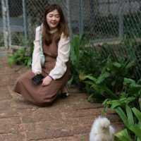Pet Friendly เอาใจคนรักกระต่ายและนกโดยเฉพาะ