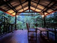 📍Our Jungle House จ.สุราฎร์ธานี