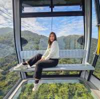 นั่งกระเช้า Ngong Ping ชมวิวแบบพาโนรามา