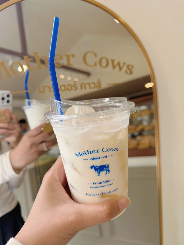 Mother Cows.เมืองทองธานี 🍶🤍🐄💙