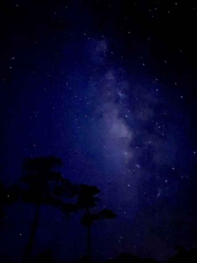 ภูสอยดาว เต็นท์แคมป์นี้…มีดีตอนค่ำคืน! ⛺️