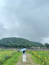 여름 대표꽃들에서 인생샷🌻🪷