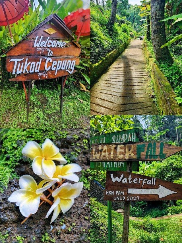 Visiting the unique waterfall in Bali: Tukad Cepung Waterfall
