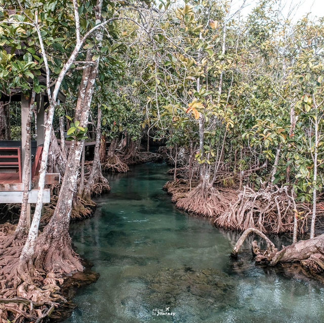 ท่าปอมคลองสองน้ำ มนต์เสน่ห์แห่งมรกตเมืองใต้ 💦