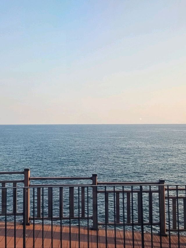 釜山必看 海雲台半日遊(*¯︶¯*)