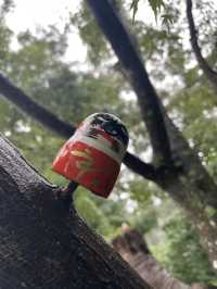 大阪屈指の映えスポット寺 勝尾寺のダルマ
